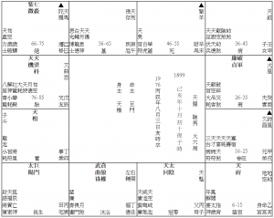 24《日夜子時研究：天府空劫同度的富翁》