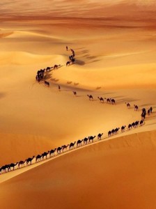 62《音樂教育》(八) Sahara Desert