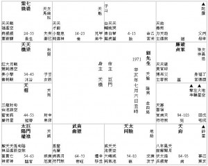 手臂骨折 (1971 M).比較之用