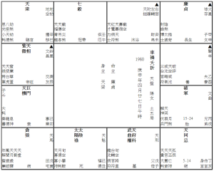 車禍夭折 (1980 F)