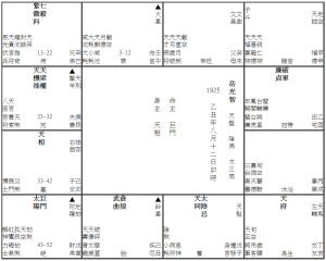 車禍死亡 (1925M) 岳光智