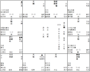 女兒先天心臟病開刀 (十一)(1954M)