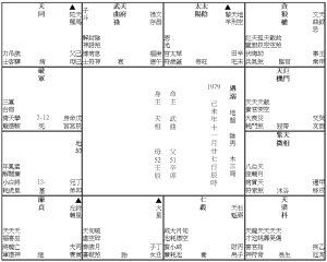 泳池遇溺 (1979 M)