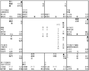 飯島愛 Ai Lijima (1972F)