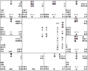 《林燕妮的命盤》